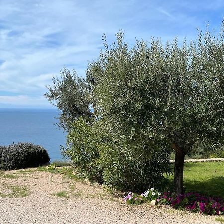 Stella D'Argento Bed & Breakfast Porto Santo Stefano  Bagian luar foto